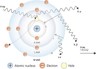 Electron Paths and Principle of X-ray Generation Expressed as a Bohr Model