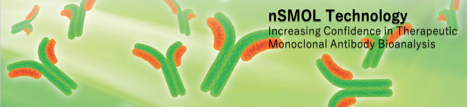Bioanálise de Anticorpos Monoclonais nSMOL 