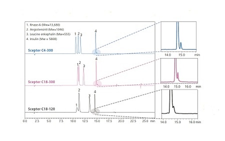 Coluna de fase reversa com poro largo otimizada para análise de compostos de massa molecular média e proteínas 