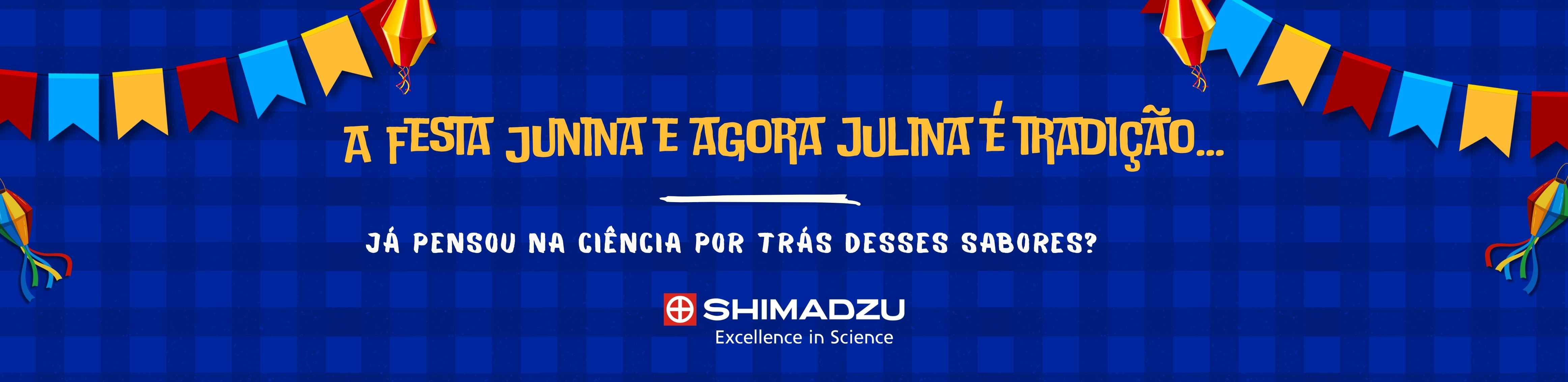 A Festa Junina e agora Julina é tradição...